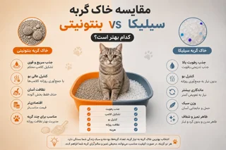 مقایسه خاک گربه بنتونیتی و سیلیکا؛ کدام انتخاب بهتری است؟