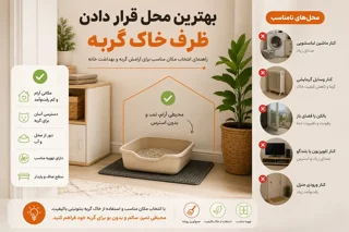 بهترین محل قرار دادن ظرف خاک گربه | راهنمای انتخاب مکان مناسب برای خاک گربه