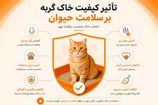 تأثیر کیفیت خاک گربه بر سلامت حیوان | چرا انتخاب خاک مناسب اهمیت دارد؟
