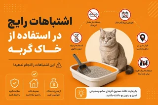 ۱۲ اشتباه رایج در استفاده از خاک گربه که سلامت حیوان شما را تهدید می‌کند