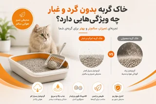 خاک گربه بدون گرد و غبار چه ویژگی‌هایی دارد؟ راهنمای انتخاب خاک گربه کم‌گردوغبار
