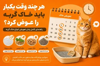 هر چند وقت یکبار باید خاک گربه را عوض کرد؟ راهنمای کامل زمان تعویض خاک گربه