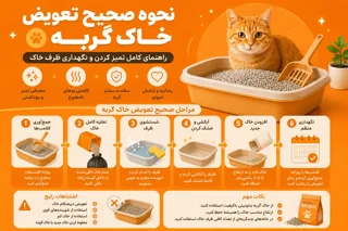 نحوه صحیح تعویض خاک گربه | راهنمای کامل تمیز کردن و نگهداری ظرف خاک