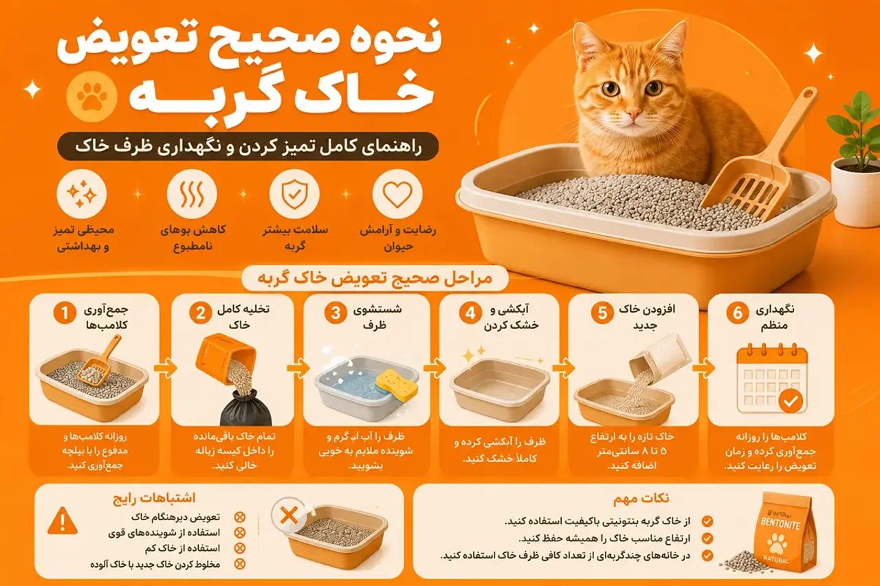 نحوه صحیح تعویض خاک گربه | راهنمای کامل تمیز کردن و نگهداری ظرف خاک