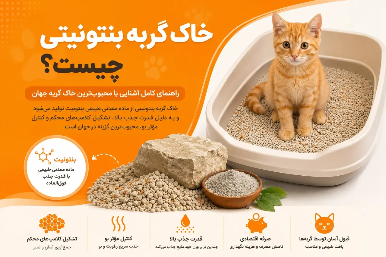 خاک گربه بنتونیتی چیست و چه مزایایی دارد؟