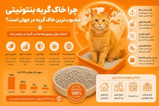 چرا خاک گربه بنتونیتی محبوب‌ترین خاک گربه در جهان است؟