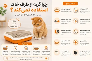 چرا گربه از ظرف خاک استفاده نمی‌کند؟ بررسی ۱۰ دلیل رایج و راه‌حل‌های کاربردی